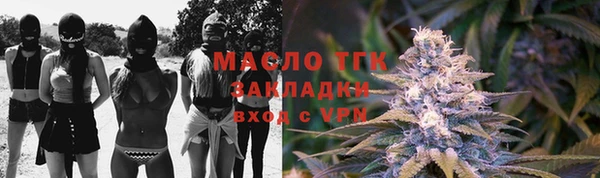 тгк Бородино