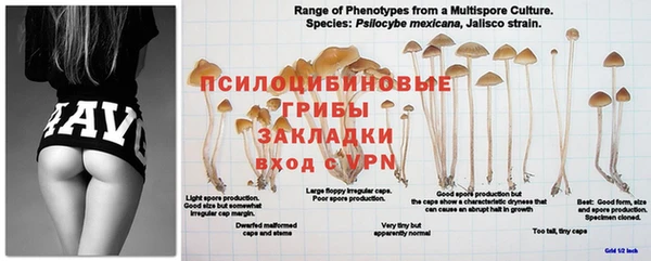 альфа пвп Бронницы