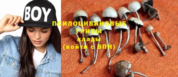 тгк Бородино